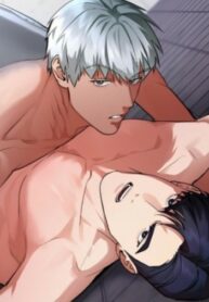 Cover 59078
