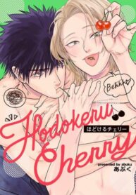 Cover 59099
