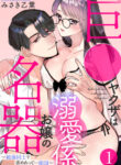 Cover 60486