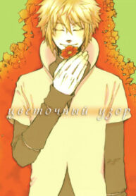 Cover 61265