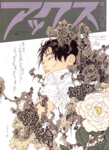 Cover 61909
