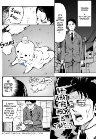 Cover 62156
