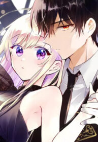 Cover 62185