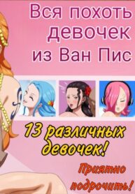 Cover 62482