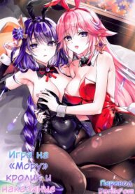 Cover 62806