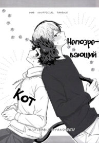 Cover 64037