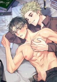 Cover 65450