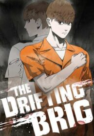 Cover 66376