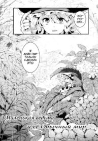 Cover 68578