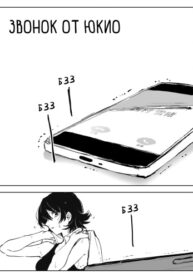 Cover 69043