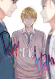 Cover 70293
