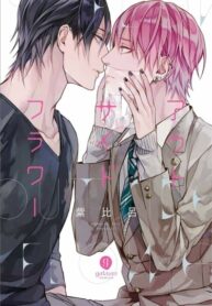 Cover 70317