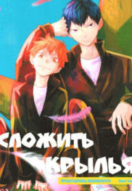 Cover 70810