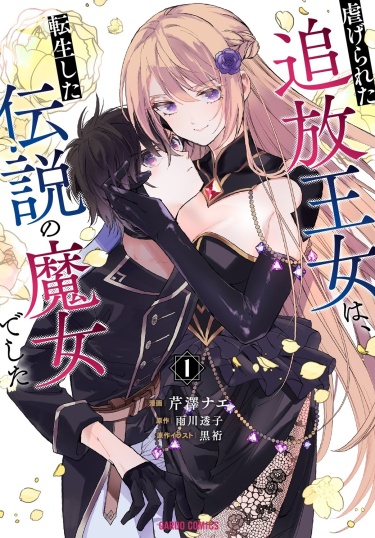 Cover 70934