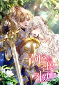 Cover 71166