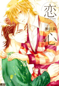 Cover 71182