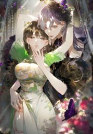 Cover 71393