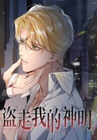 Cover 71582