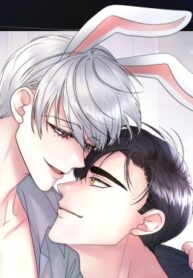 Cover 72578