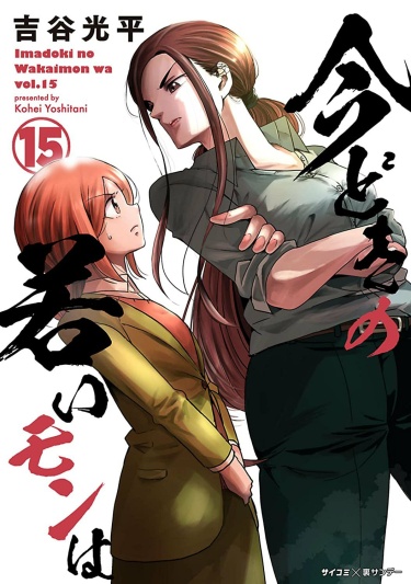 Cover 73346