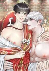 Cover 74854