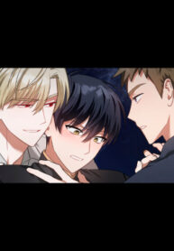 Cover 76155