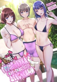 Cover 79116