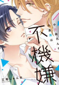 Cover 80161