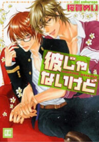 Cover 80243