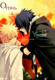 Cover 80279
