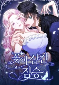 Cover 81697