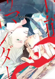Cover 82528