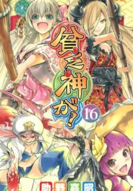 Cover 84906