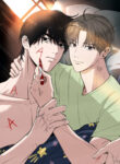 Cover 85024