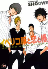 Cover 85536