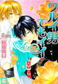 Cover 85590