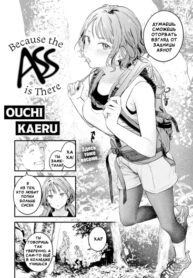 Cover 85842