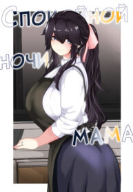 Cover 85868