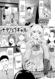 Cover 86290