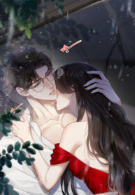 Cover 86597