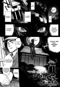 Cover 87085