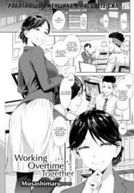 Cover 87107