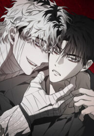 Cover 87695
