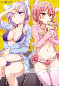 Cover 88051