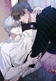 Cover 90337