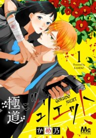 Cover 91181