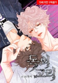 Cover 93531