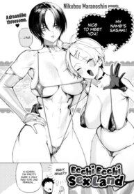 Cover 95778