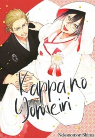 Cover 95930
