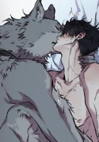 Cover 96407